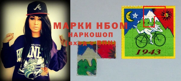 шишки Горняк