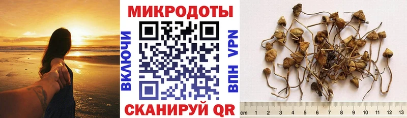 блэк спрут ONION закладки Велиж Галлюциногенные грибы ЛСД